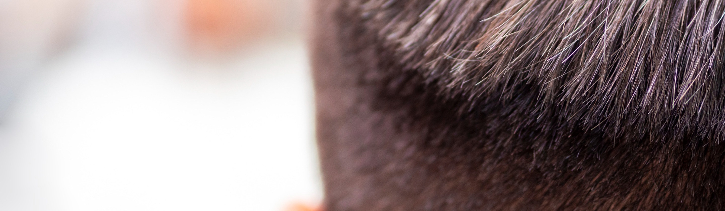 Il dettaglio ravvicinato dei capelli sulla nuca